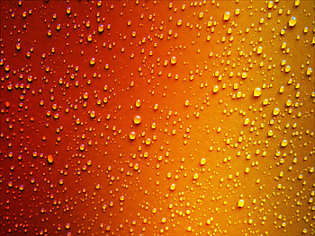 Red yellow surface, dew drop, wet surface HD wallpaper