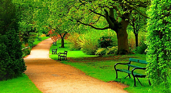 Green Full Screen Nature HD wallpaper