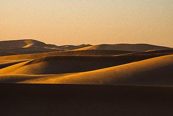 Nature, Sand, Desert, Dunes, Links HD wallpaper
