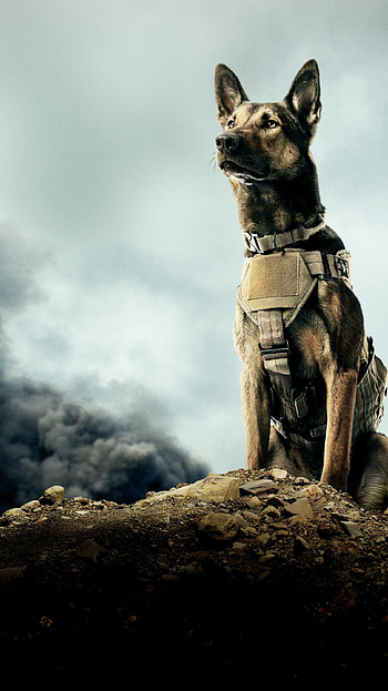 Max (2022) movie HD phone wallpaper