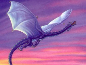 Flying Dragon, dragon, flying, sky, art HD wallpaper