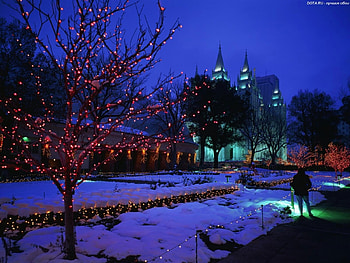 Landscape, Holidays, Winter, New Year, Night, Christmas, Xmas HD wallpaper