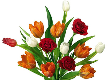 For you with love!!, tulip, bouquet, flower, nature, petal HD wallpaper