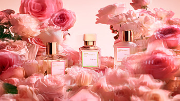 New drops, Latest product releases, Seasonal fragrances, Trend-setting scents HD wallpaper