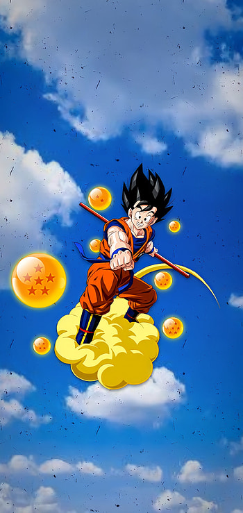 Goku, DragonBall, DragonBallSuper, Vegeta, Broly, EsferasDoDragao HD phone wallpaper