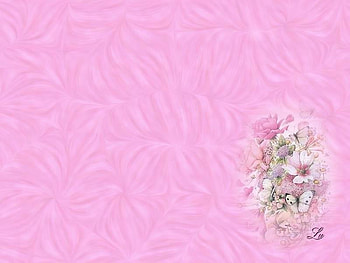 Pale Rose, texture, delicate, pale, flower HD wallpaper
