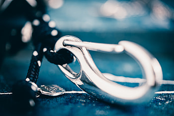 macro HD wallpaper