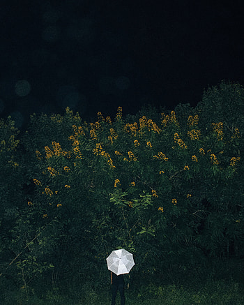 Flowers, Grass, Miscellanea, Miscellaneous, Human, Person, Loneliness, Umbrella HD phone wallpaper