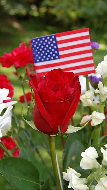 Memorial Day, Rose, Flowers Background HD phone wallpaper