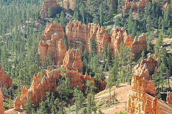 Nature, Park, Bryce Canyon Utah HD wallpaper