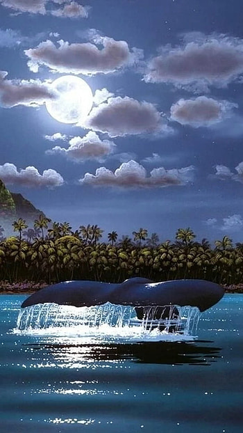 Moving, Whale Tail HD phone wallpaper
