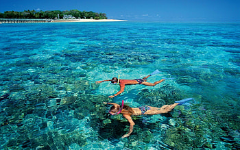 Snorkeling, Top Spots, Backgrounds HD wallpaper
