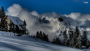 Lakeside Winter Cabin, winter, fog, snow, trees, nature, lake, cabin HD wallpaper
