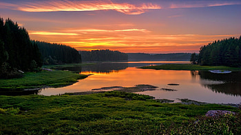 Denmark's que landscapes, Breathtaking views, Scenic backgrounds, Nordic beauty HD wallpaper