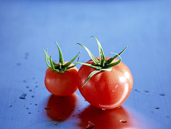 Food, Vegetables, Tasty, Delicious, Tomatoes HD wallpaper