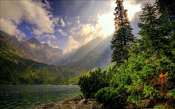 Nature, Water, Mountains, Forest HD wallpaper