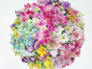 WORLD OF FLOWERS, bouquet, pinks, ball, sphere, flowers, colourful, blooms HD wallpaper