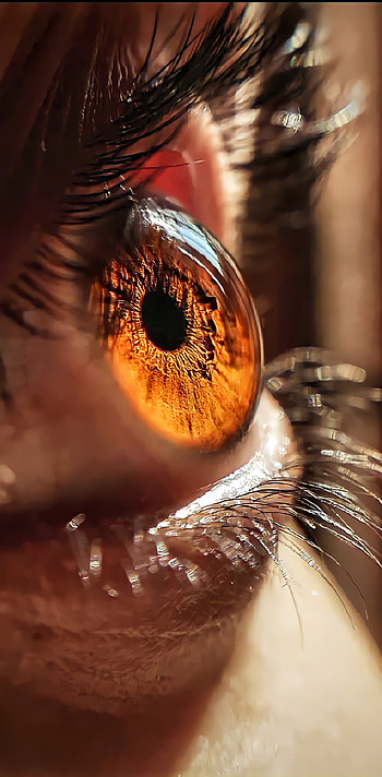 Eye, beauty, eyebrow, gods-gift, human HD phone wallpaper