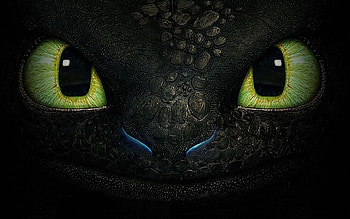 ... toothless cave ... HD wallpaper