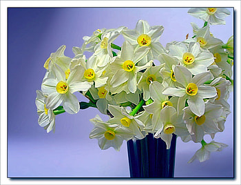 flowers in vase, art , vase, nature, flowers, nice HD wallpaper
