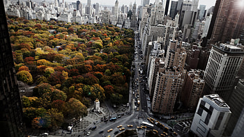 Central Park, New York Streets HD wallpaper