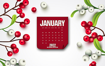 January 2021 Calendar, , white winter background, January, berries background, 2021 January Calendar, winter calendars HD wallpaper