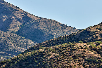 Nature, Cactuses, Sky, Bush, Hills, Slope HD wallpaper