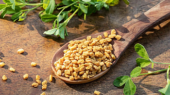 Sperm health, Fenugreek, Spice study HD wallpaper