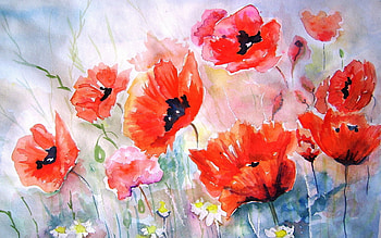 Plants, Flowers, Poppies HD wallpaper