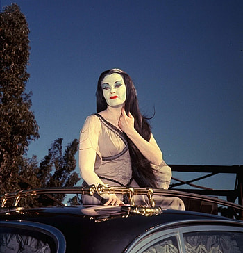The Munsters, Munsters ideas, Sheri Moon Zombie, Lily Munster HD phone wallpaper