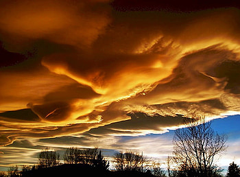 Golden storm, blue sky, golden clouds, darkness, trees, storm HD wallpaper