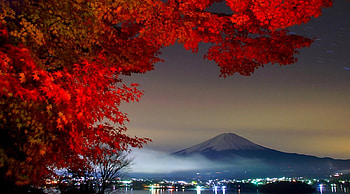 scenic spot, trees, mountains, water, lights HD wallpaper