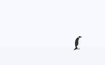 Snow, Minimalism, Penguin HD wallpaper