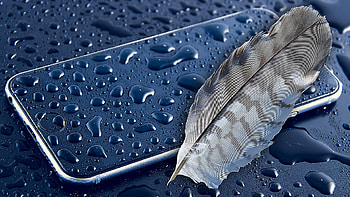 Apple Feather, apple, feather, graphy HD wallpaper