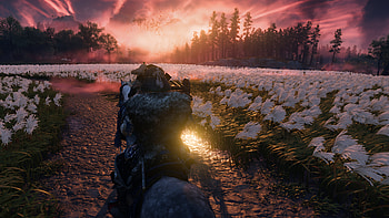 Ghost of Tsushima, Ghost of Tsushima HD wallpaper
