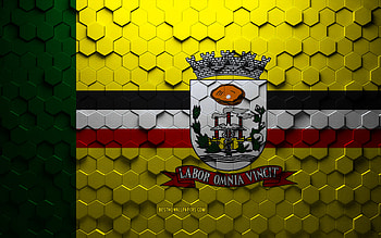 Flag of Birigui, honeycomb art, Birigui hexagons flag, Birigui, 3d hexagons art, Birigui flag HD wallpaper