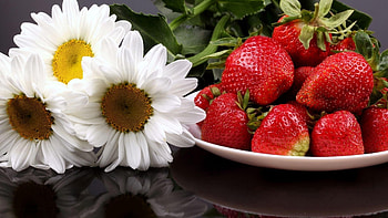 Food, Strawberry, Camomile, Berry, Sweetness HD wallpaper