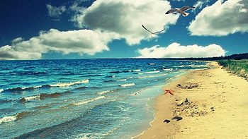 Sea nature side . HD wallpaper
