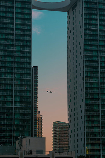 Cities, Building, Skyscrapers, Evening, Plane, Airplane HD phone wallpaper