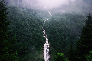 Nature, Trees, Waterfall, Fog HD wallpaper