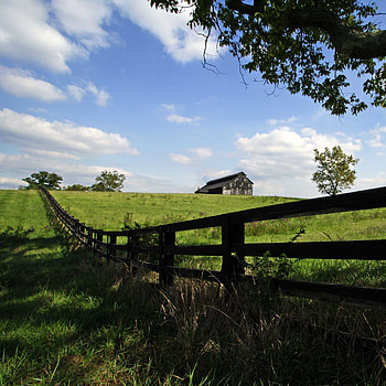 Kentucky, Horse racing, Bourbon trail, Quaint towns HD phone wallpaper