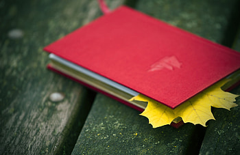 Autumn, Miscellanea, Miscellaneous, Sheet, Leaf, Mood, Maple, Notebook, Notepad HD wallpaper