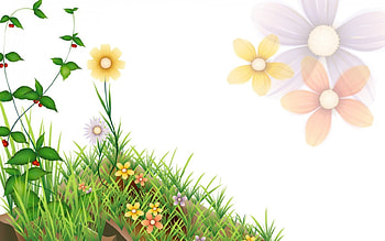 Grazing land, flowers, 3d HD wallpaper