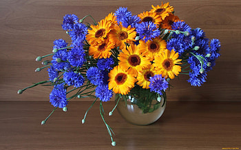 Bouquet with Cornflowers, cornflowers, glass, vase, yellow flowers HD wallpaper