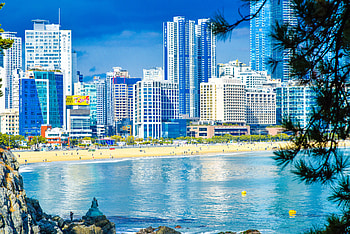 Busan city, buildings and beach, art HD wallpaper