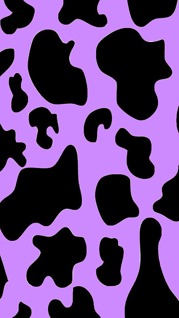 Cow Print, Background HD phone wallpaper