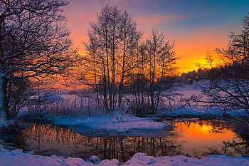 winter pond at sunset, winter, trees, houses, lake HD wallpaper