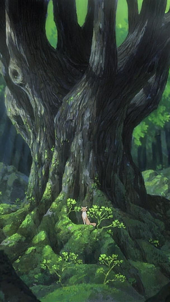 Wolf children, anime HD phone wallpaper