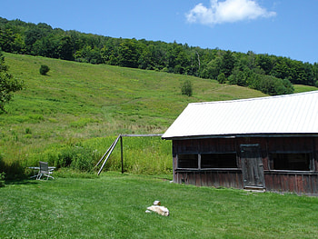 Out doors, old, shed, green, peaceful, out side, hill, cloud HD wallpaper