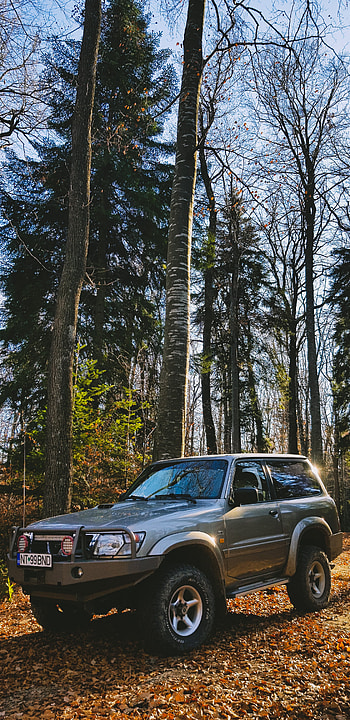 Nissan patrol y61, forest, offroad HD phone wallpaper